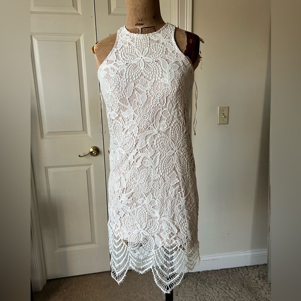 Express Lace Summer Dress